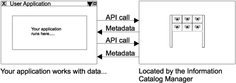 Graphic illustrating the interaction between your application and the Information Catalog Manager via API calls.