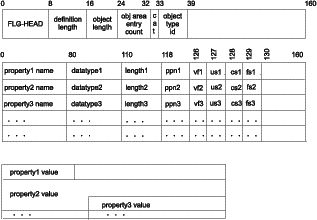Graphical representation of the Information Catalog Manager input structure at the byte level.