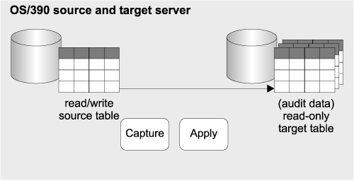 Replicating data for auditing purposes